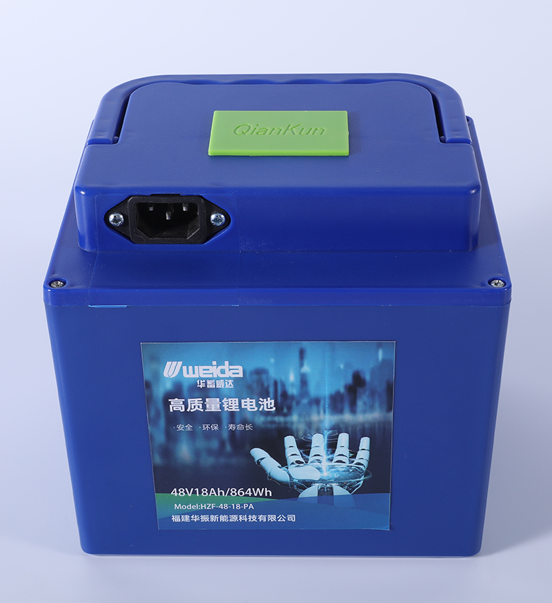 High quality LiFePO4 battery Pack